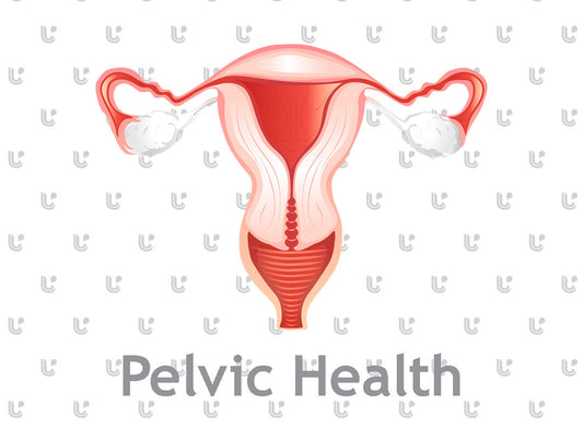 Pelvic Health 101